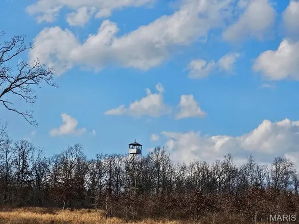 $260,000 | 31947 Highway 60, Ellsinore, MO 63937