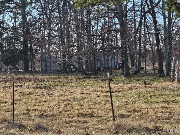 $260,000 | 31947 Highway 60, Ellsinore, MO 63937