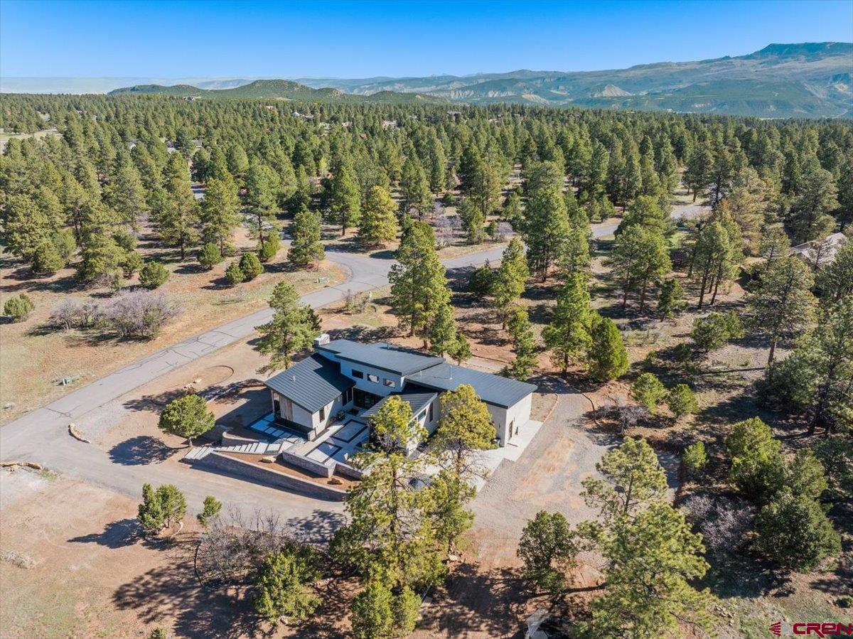 176 Bear Cub Drive Ridgway, CO 81432 - Photo 32 of 38