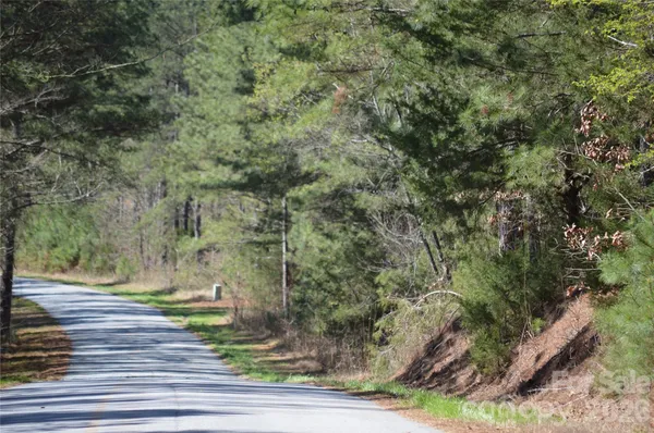 a view of a dry yard with green space