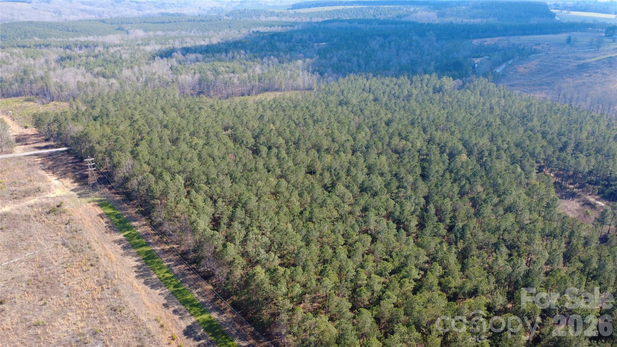 0 Peter Hawk Creek Road, Unit 13 Jonesville, SC 29353 - Photo 22 of 24