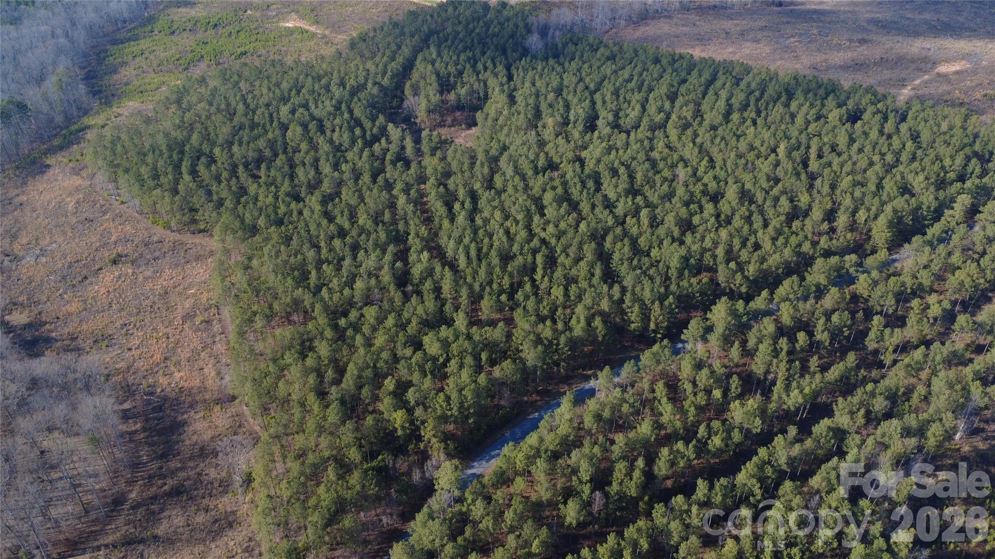 0 Peter Hawk Creek Road, Unit 13 Jonesville, SC 29353 - Photo 3 of 24