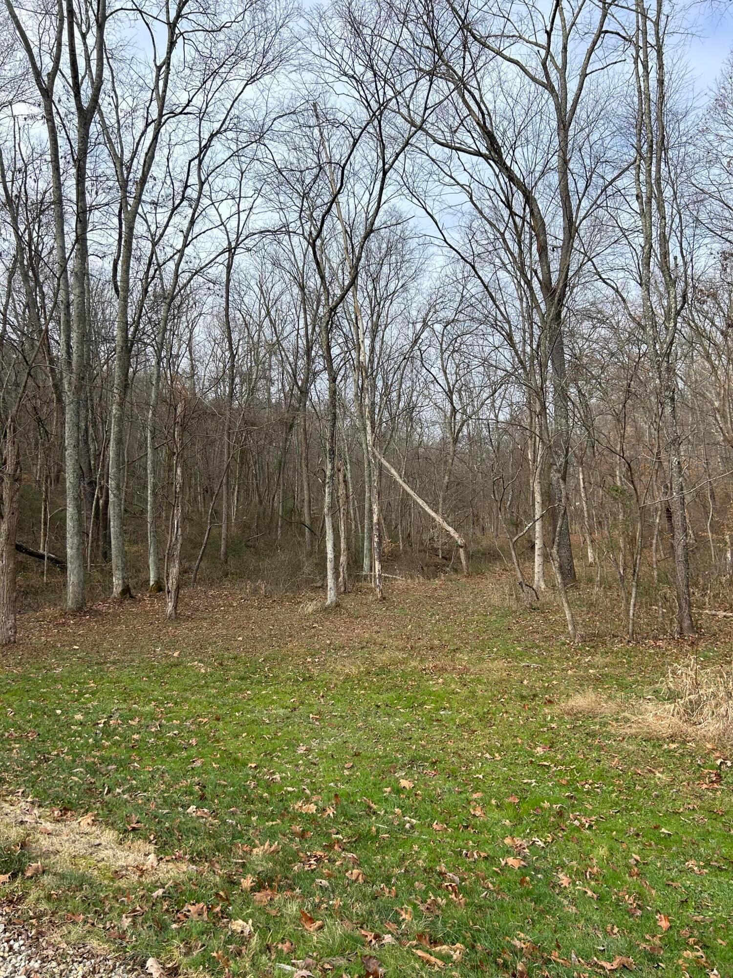 33461 Oliver Road Logan, OH 43138 - Photo 6 of 20 96C989FB-25C6-4207-9605-505A6F6AC502