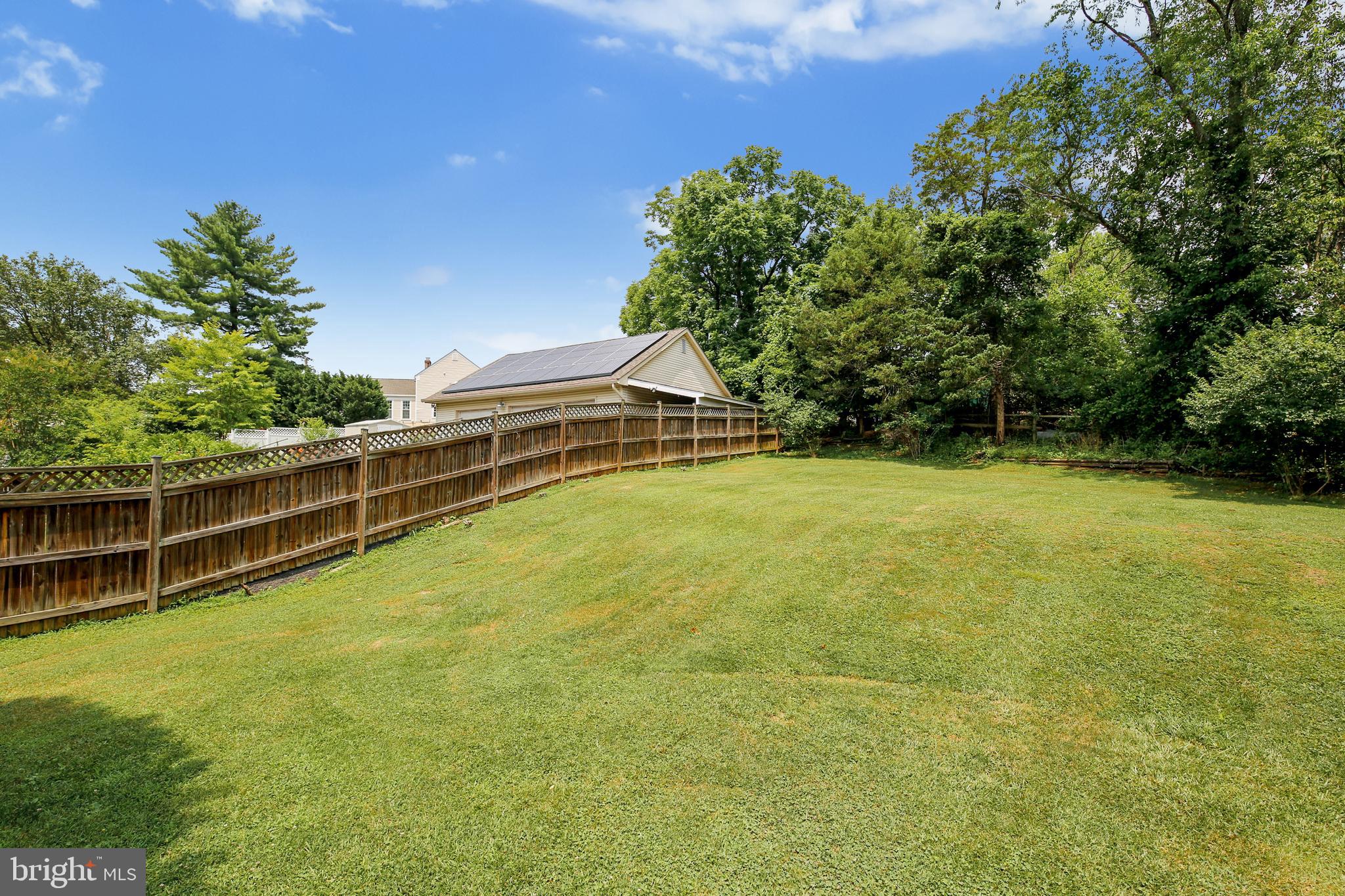 2417 Nees Lane Silver Spring, MD 20905 - Photo 54 of 65 Lots of yard for kids to play
