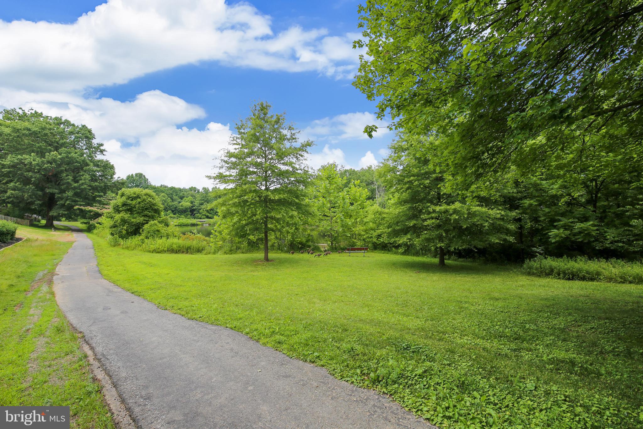 2417 Nees Lane Silver Spring, MD 20905 - Photo 64 of 65 Bike path