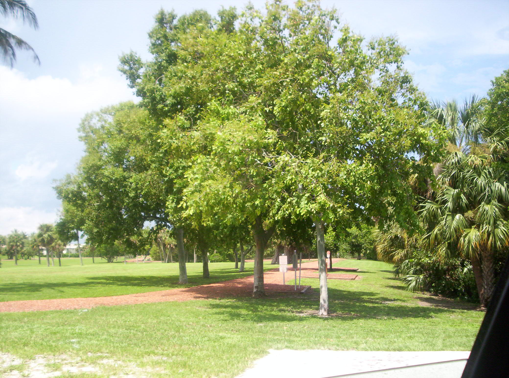 150 Pineview Road, Unit K2 Jupiter, FL 33469 - Photo 21 of 29 Carlin Park Heart Trail