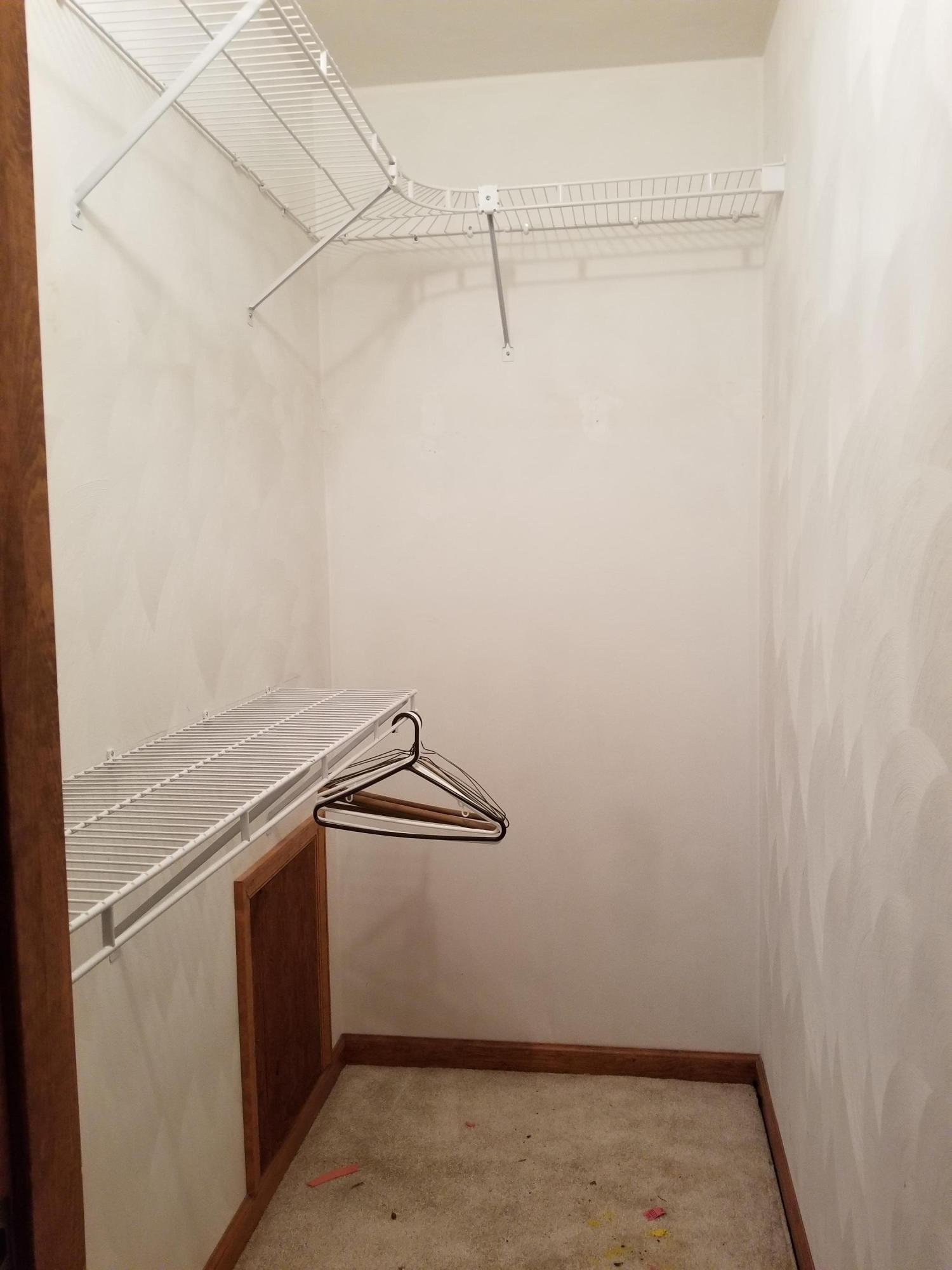 114 Ridgeway Court Moneta, VA 24121 - Photo 13 of 45 Guest closet