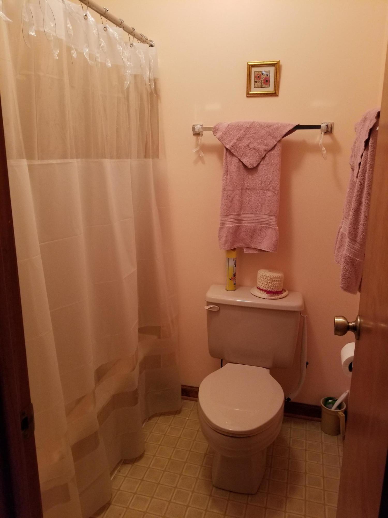 114 Ridgeway Court Moneta, VA 24121 - Photo 15 of 45 Guest bath