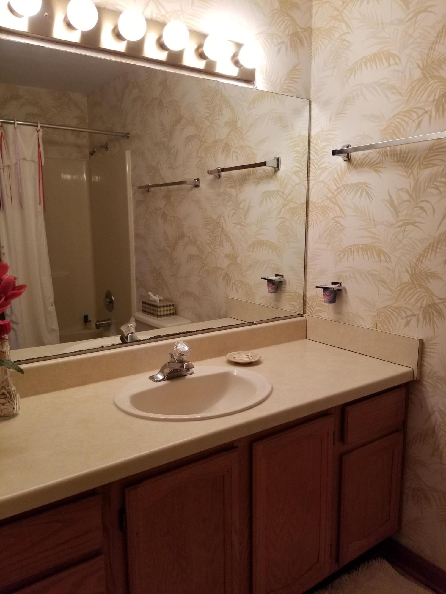 114 Ridgeway Court Moneta, VA 24121 - Photo 30 of 45 Downstairs bath