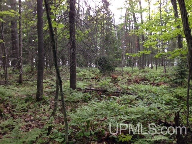 2 Bootjack Road, Unit PRINCESS POINT AREA Lake Linden, MI 49945 - Photo 20 of 20