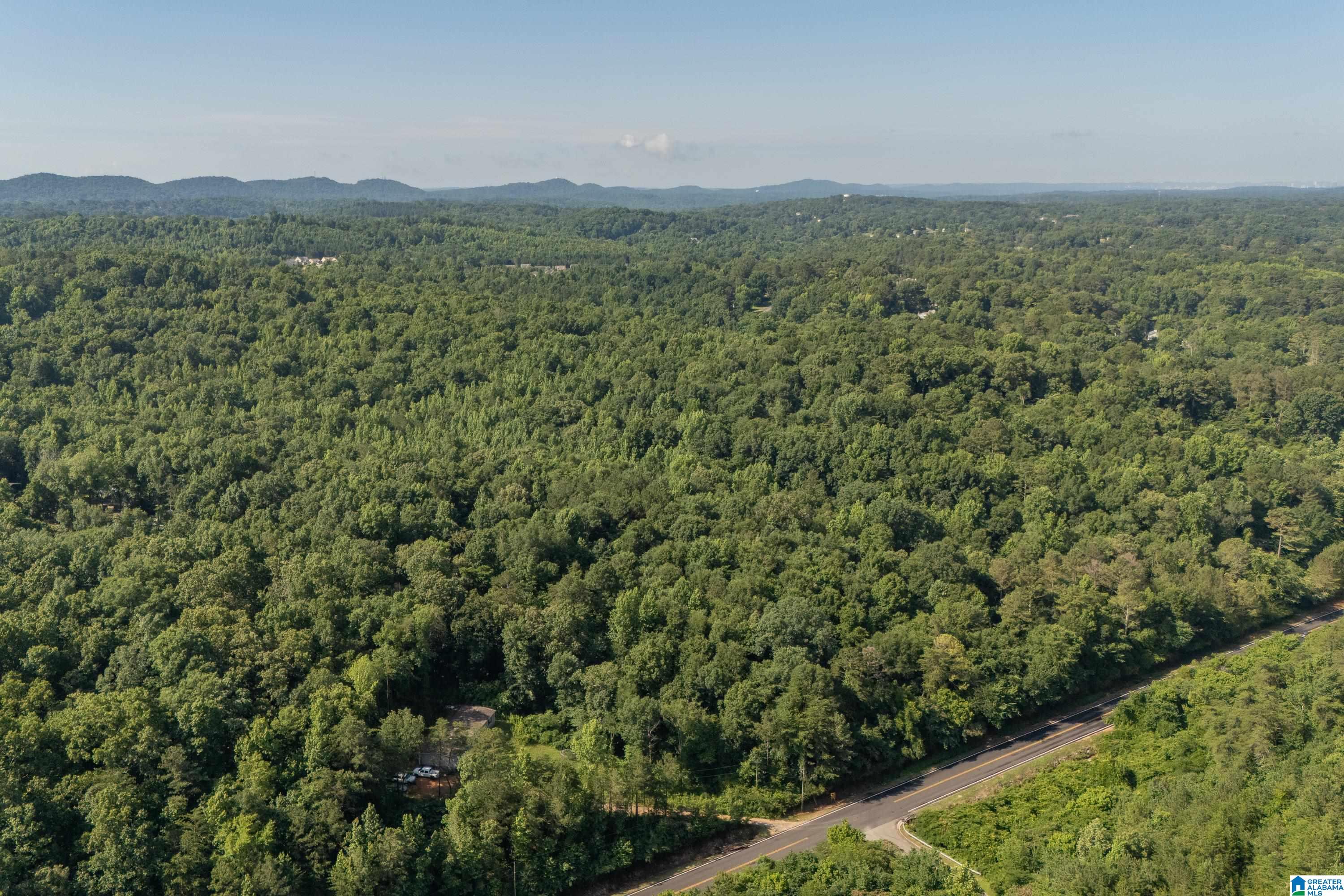 4861 Grist Mill Road, Unit 1 Pinson, AL 35126 - Photo 2 of 12