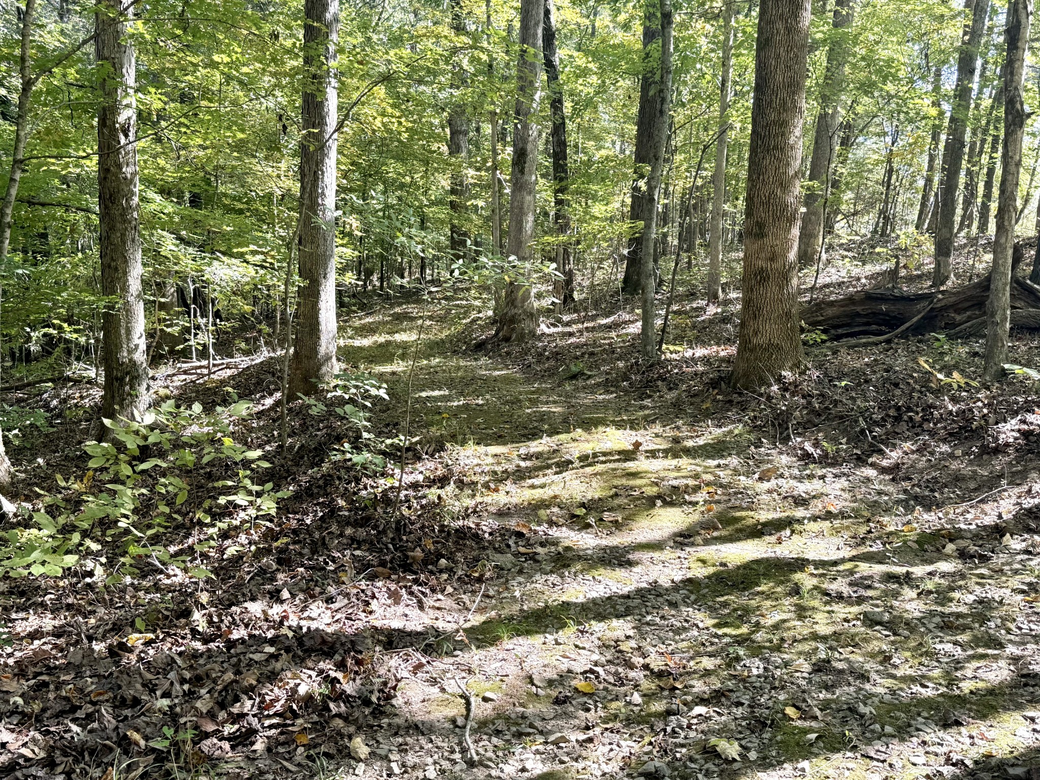 4261 Lake Road Woodlawn, TN 37191 - Photo 26 of 30