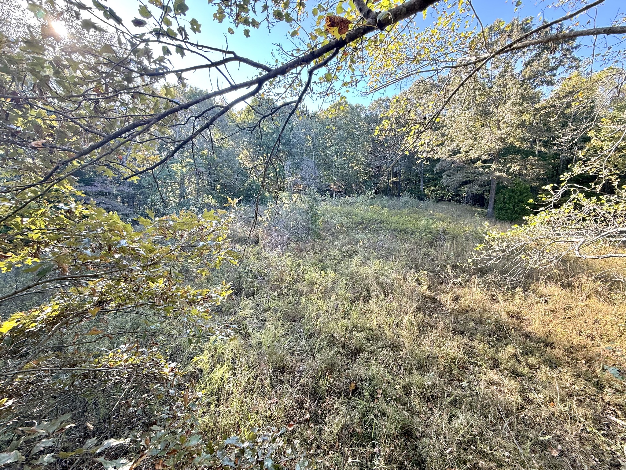 4261 Lake Road Woodlawn, TN 37191 - Photo 28 of 30