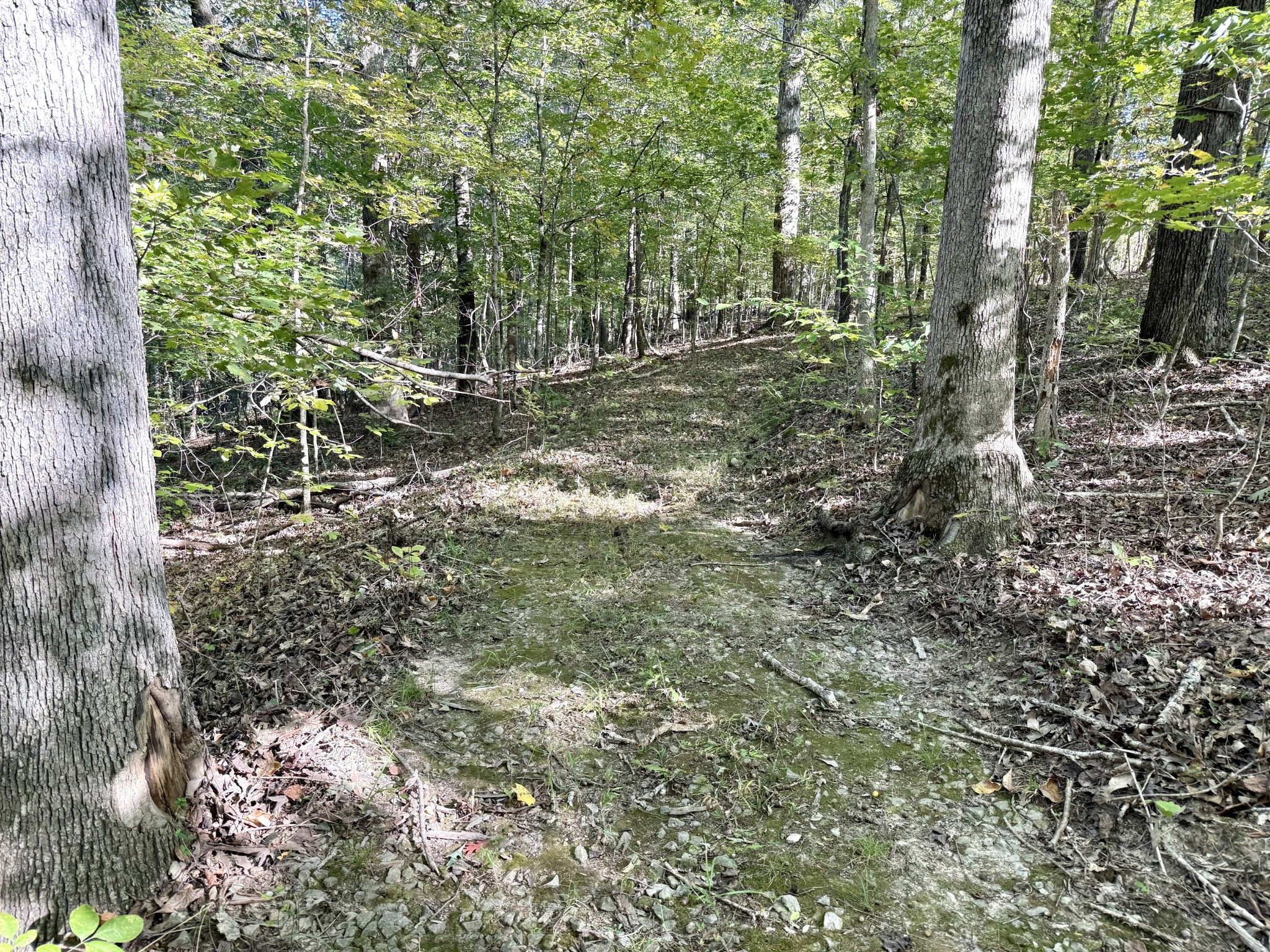 4261 Lake Road Woodlawn, TN 37191 - Photo 29 of 30