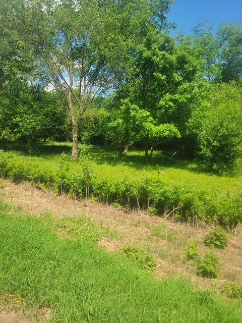 Tbd Tbd 230th Baldwin, WI 54002 - Photo 15 of 56