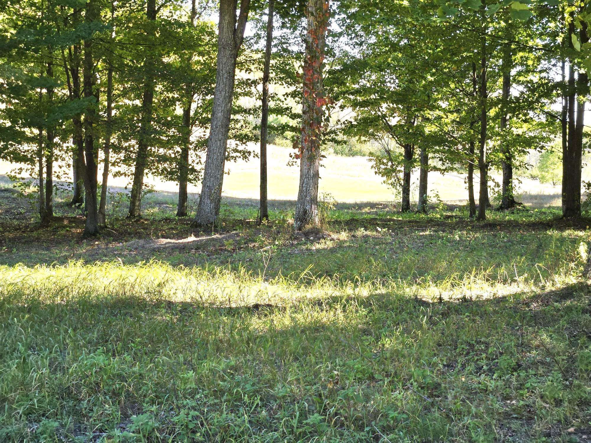 19 Heather Ridge Trail Beulah, MI 49617 - Photo 4 of 11