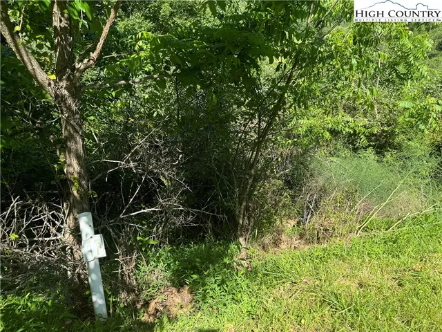 $9,500 | Lot 17 Isabel Way, Piney Creek, NC 28663