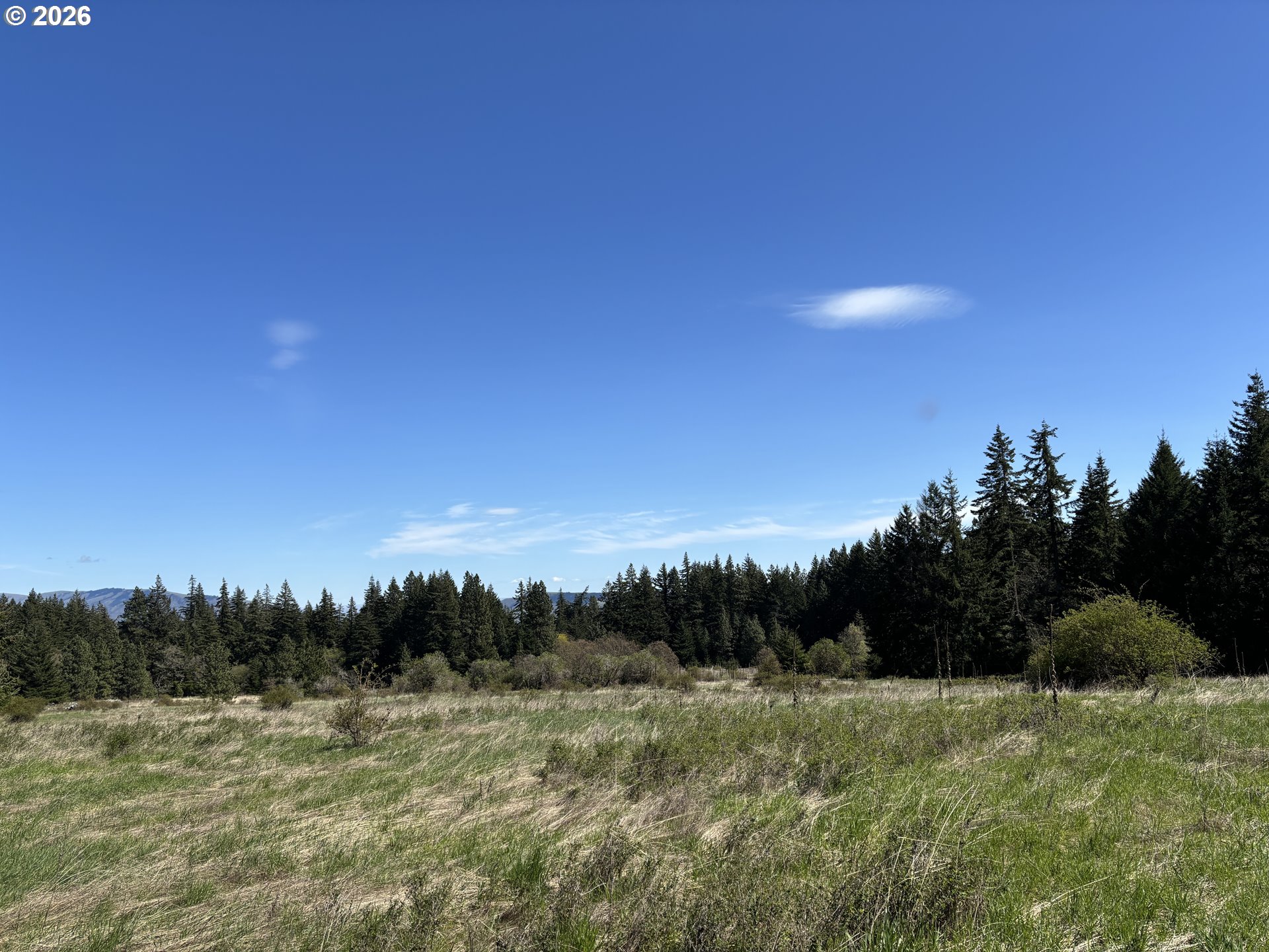 Cooke Road White Salmon, WA 98672 - Photo 2 of 10