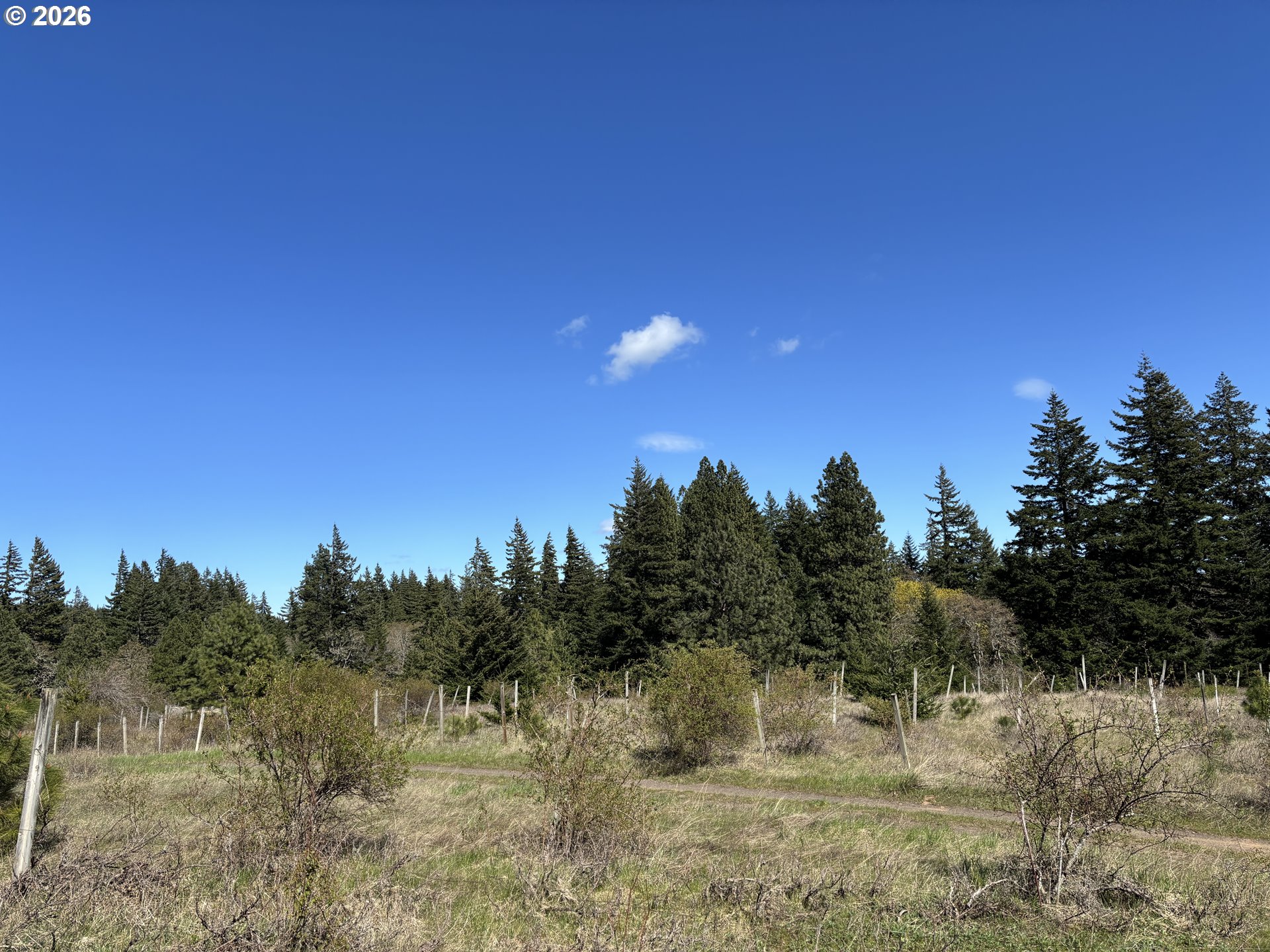 Cooke Road White Salmon, WA 98672 - Photo 3 of 10