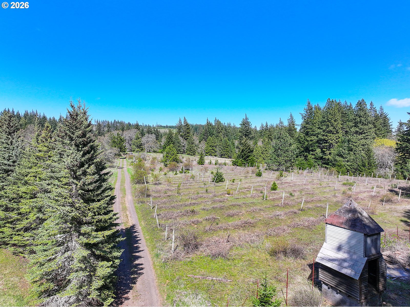 Cooke Road White Salmon, WA 98672 - Photo 5 of 10