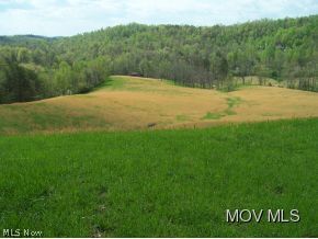 2582 Triplett Road Spencer, WV 25276 - Photo 18 of 24 Acres of meadows