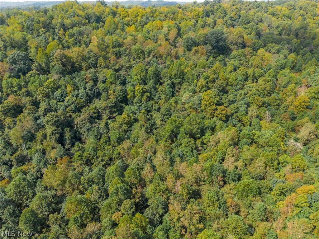 37500 Goose Run Road, Unit 2 Dexter City, OH 45727 - Photo 15 of 19 Gallery Image 15