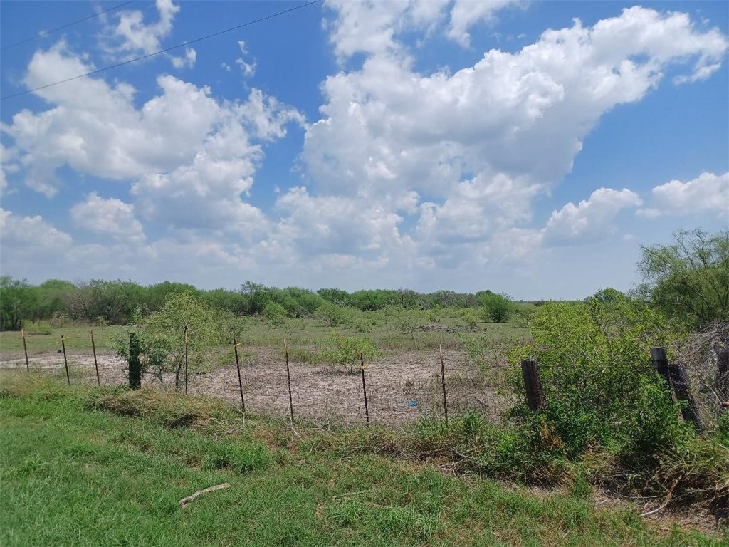 0 County Road Sinton, TX 78387 - Photo 2 of 2 a view of a bunch of trees in a yard