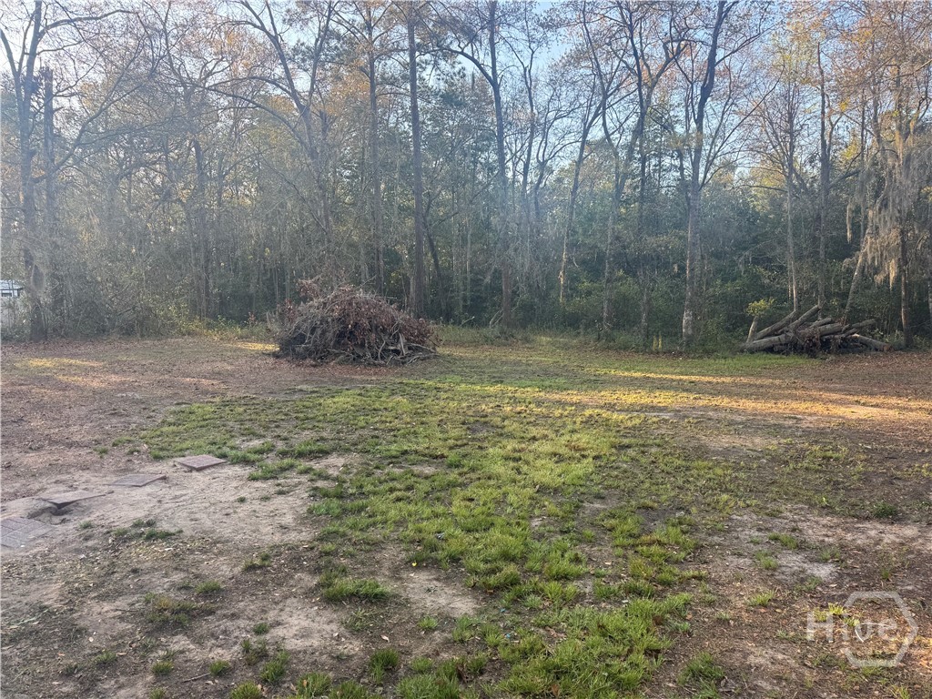 314 Beulah Road Midway, GA 31320 - Photo 15 of 16