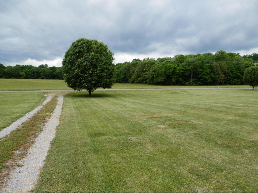 1081 Curt Russell Road Jonesville, VA 24263 - Photo 11 of 14 LEVEL FRONT YARD