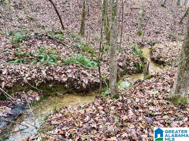 0 Deaver Walker Road Trafford, AL 35172 - Photo 17 of 28