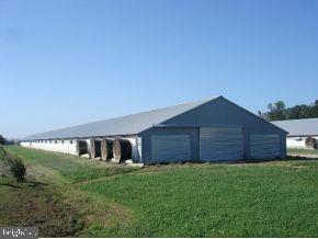 5948 Eldorado Road Rhodesdale, MD 21659 - Photo 3 of 9