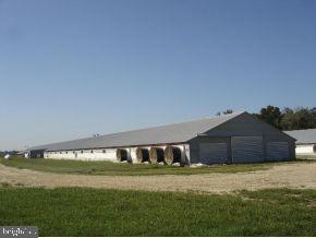 5948 Eldorado Road Rhodesdale, MD 21659 - Photo 4 of 9