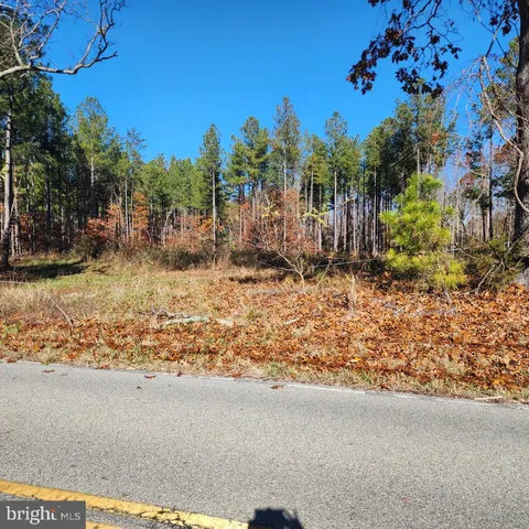 a view of a yard with palm tree