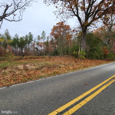 a view of a yard with an tree