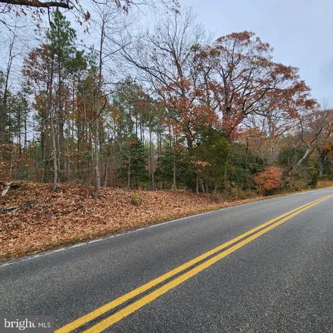 a view of a yard with large trees