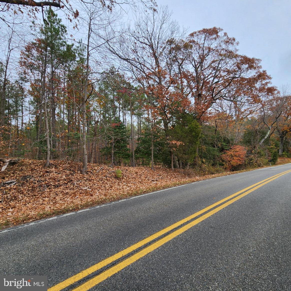 1725 Sollers Wharf Road Lusby, MD 20657 - Photo 5 of 5 a view of a yard with large trees