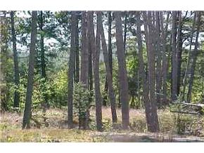 0 Pleasant Valley Road Middleton, NH 03887 - Photo 2 of 5