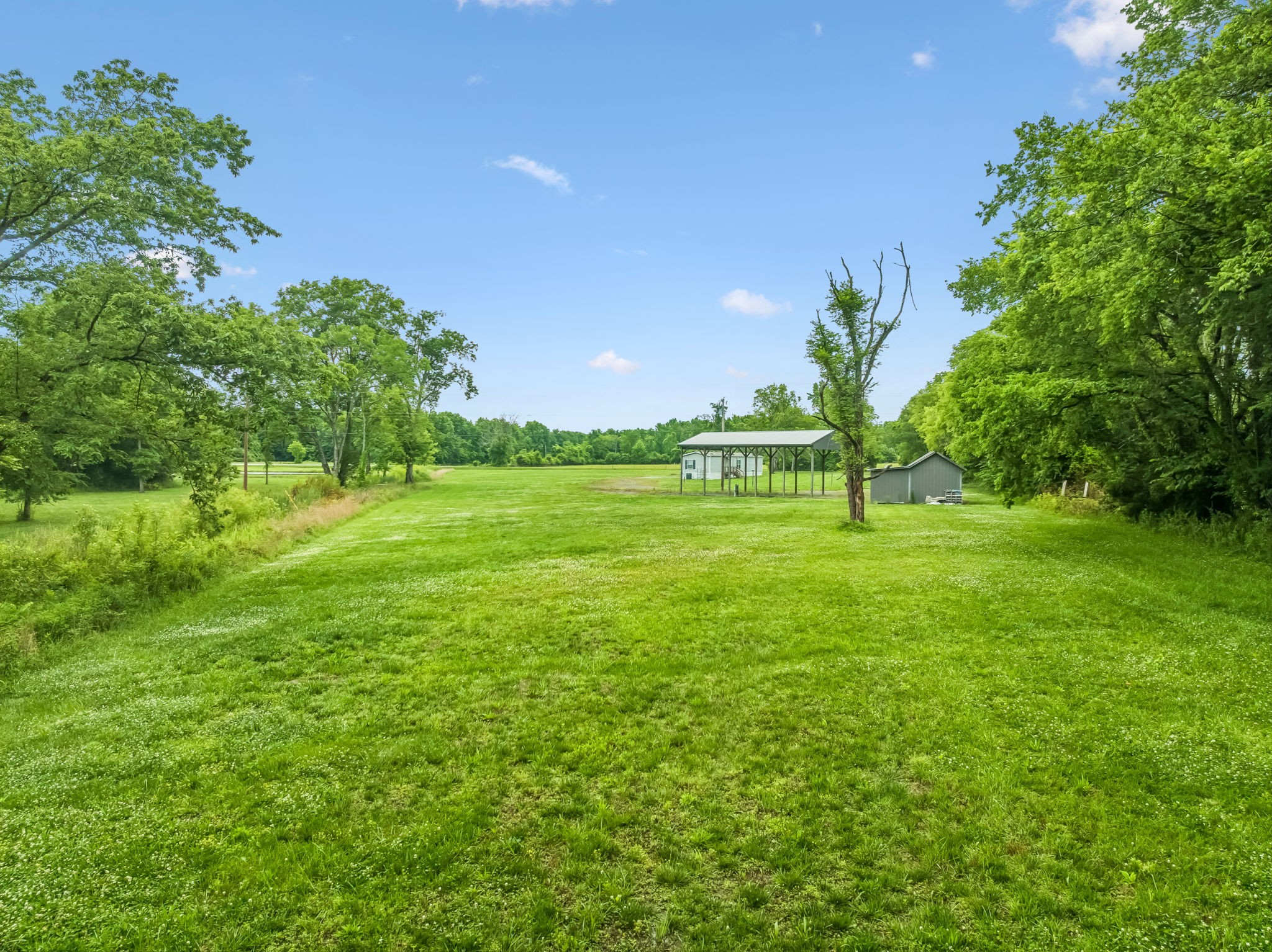 280 Kingdom Road Unionville, TN 37180 - Photo 33 of 65 a view of a green field with trees