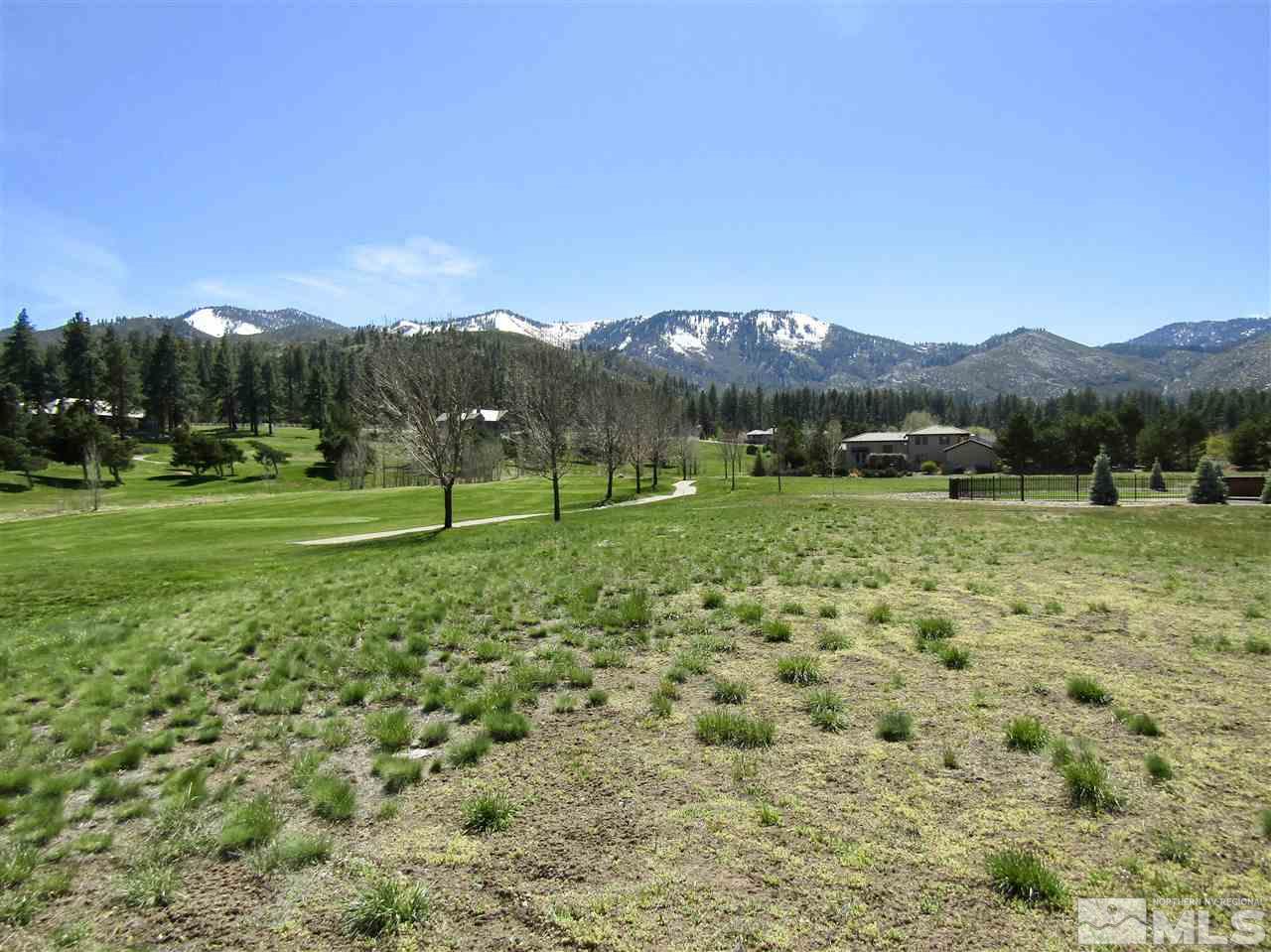 49 Lightning W Ranch Road Washoe Valley, NV 89704 - Photo 3 of 12 Photo 3
