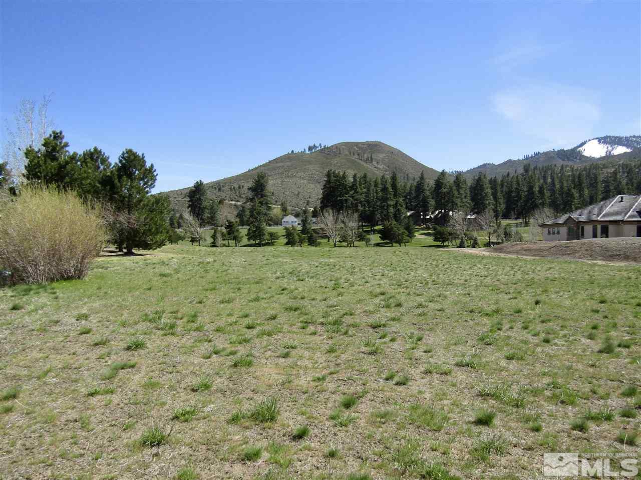 49 Lightning W Ranch Road Washoe Valley, NV 89704 - Photo 4 of 12 Photo 4