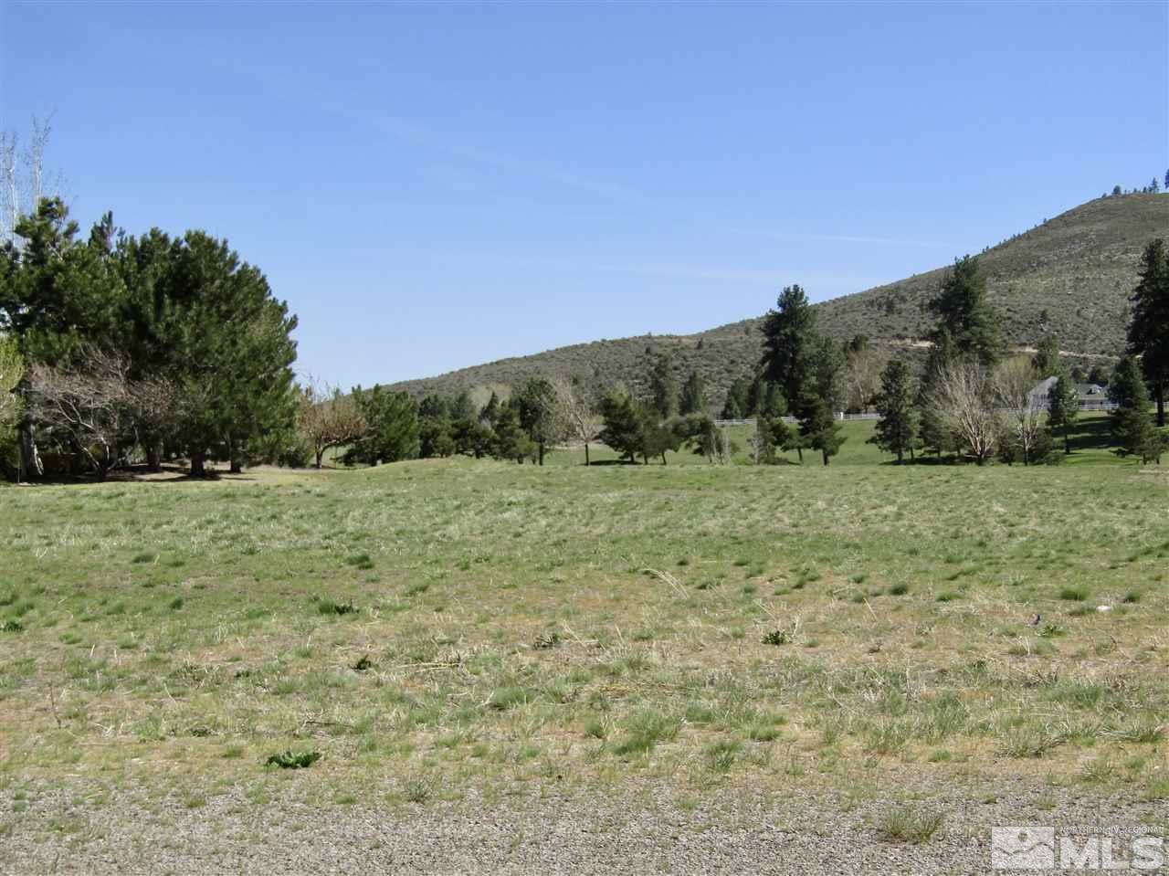 49 Lightning W Ranch Road Washoe Valley, NV 89704 - Photo 7 of 12 Photo 7