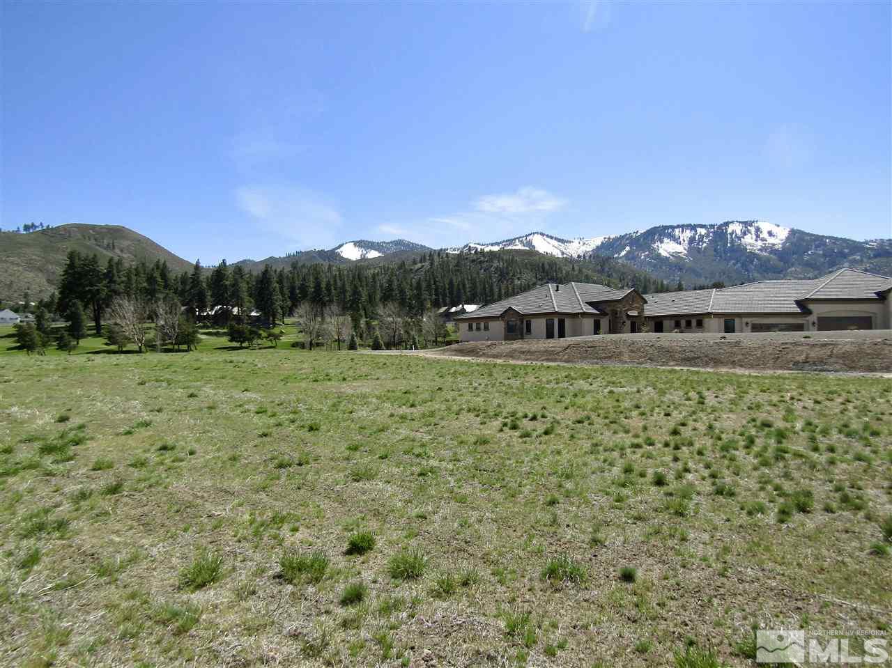 49 Lightning W Ranch Road Washoe Valley, NV 89704 - Photo 8 of 12 Photo 8