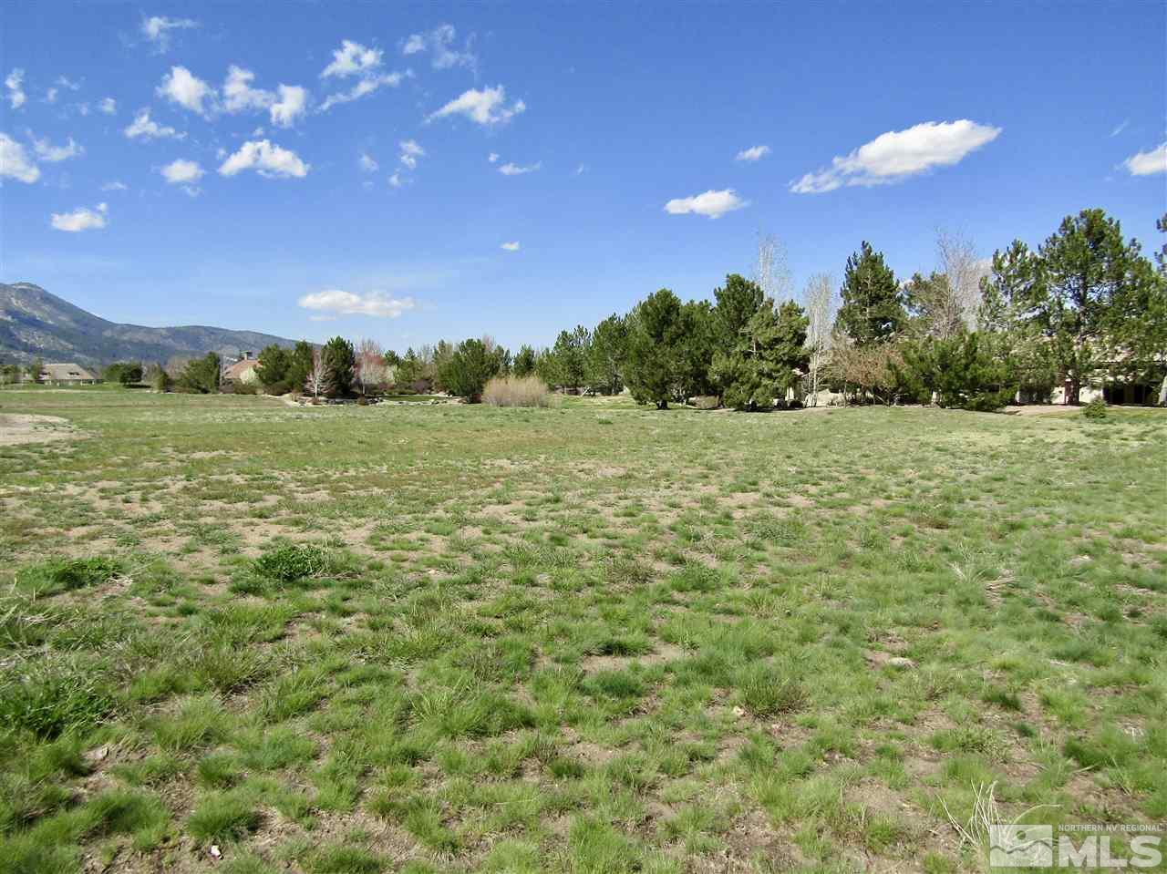 49 Lightning W Ranch Road Washoe Valley, NV 89704 - Photo 10 of 12 Photo 10