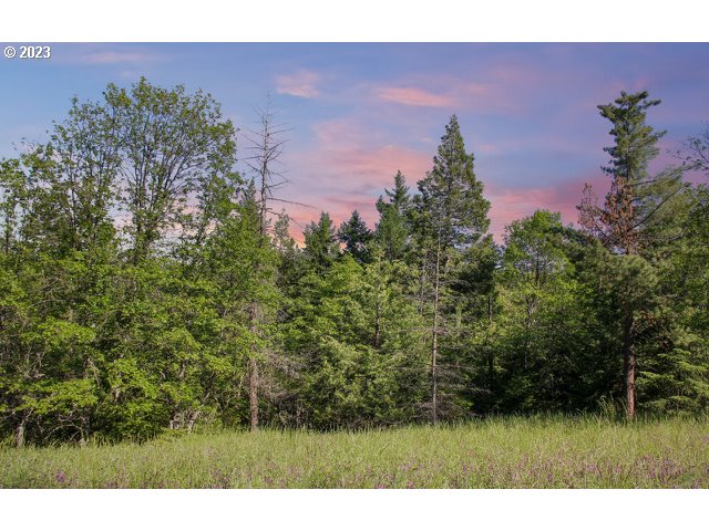 6746 Old Highway 99 South