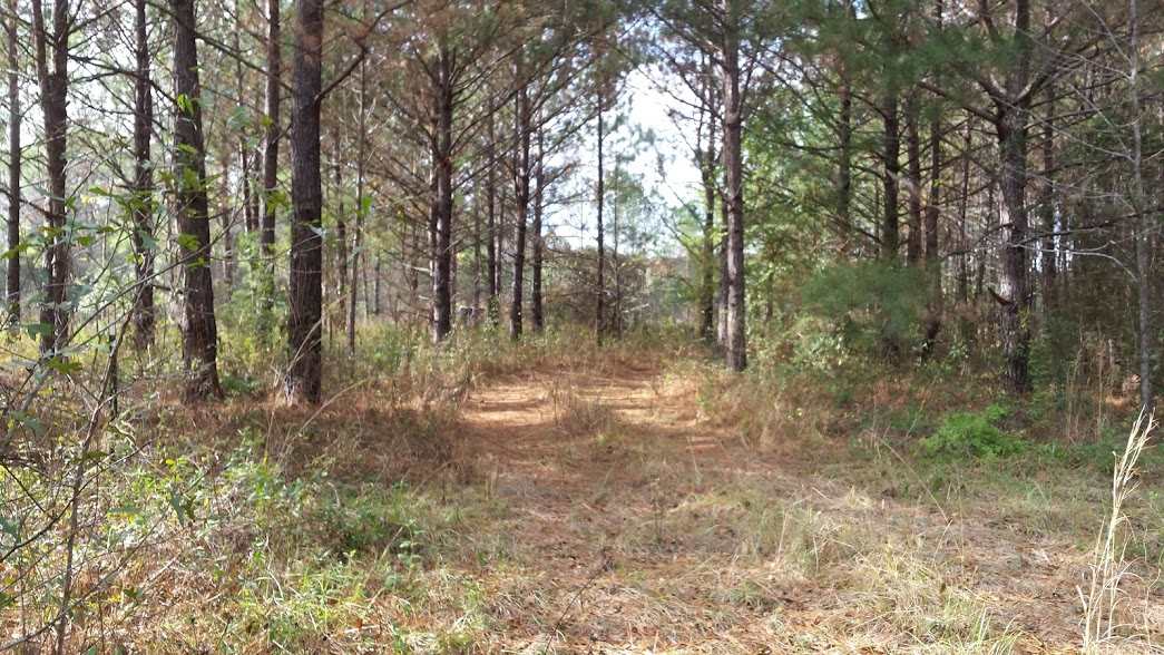 4 Harbin Road Quincy, FL 32351 - Photo 1 of 1 Gallery Image 1