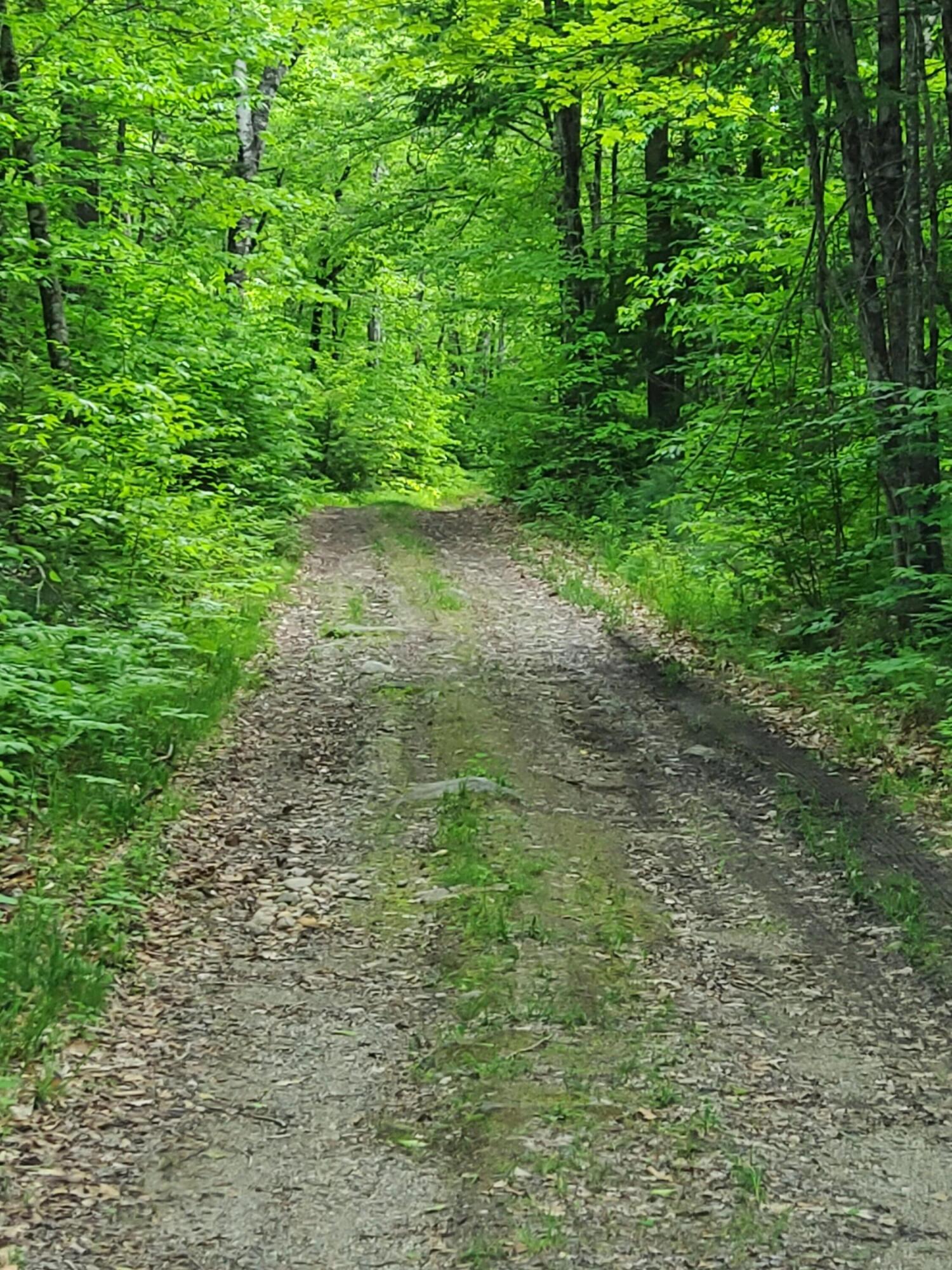 Lot 50 Map 14) Andover, ME 04216 - Photo 10 of 12 20260605_170350