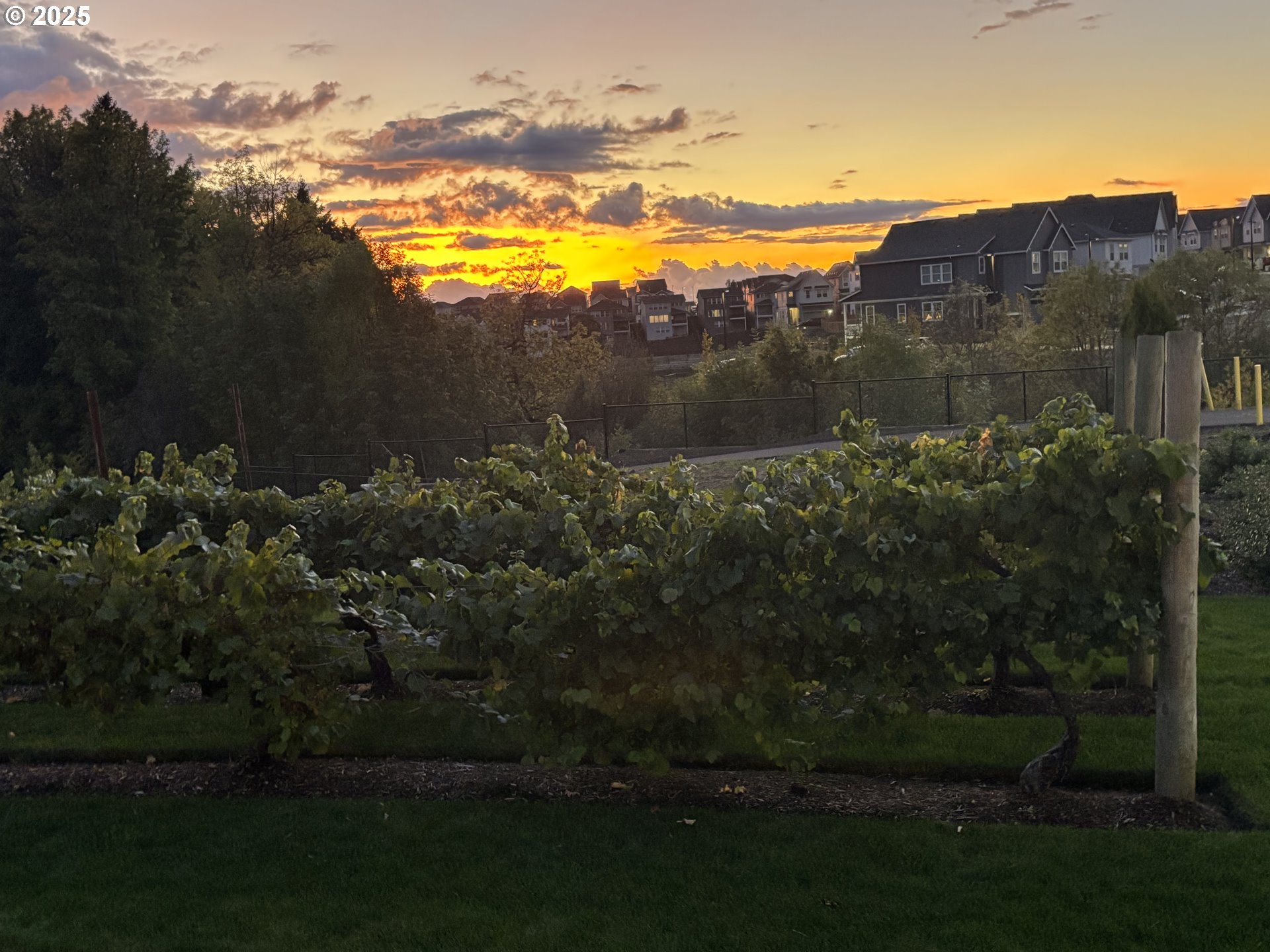 11751 Southwest Hayrick Terrace Beaverton, OR 97007 - Photo 8 of 32