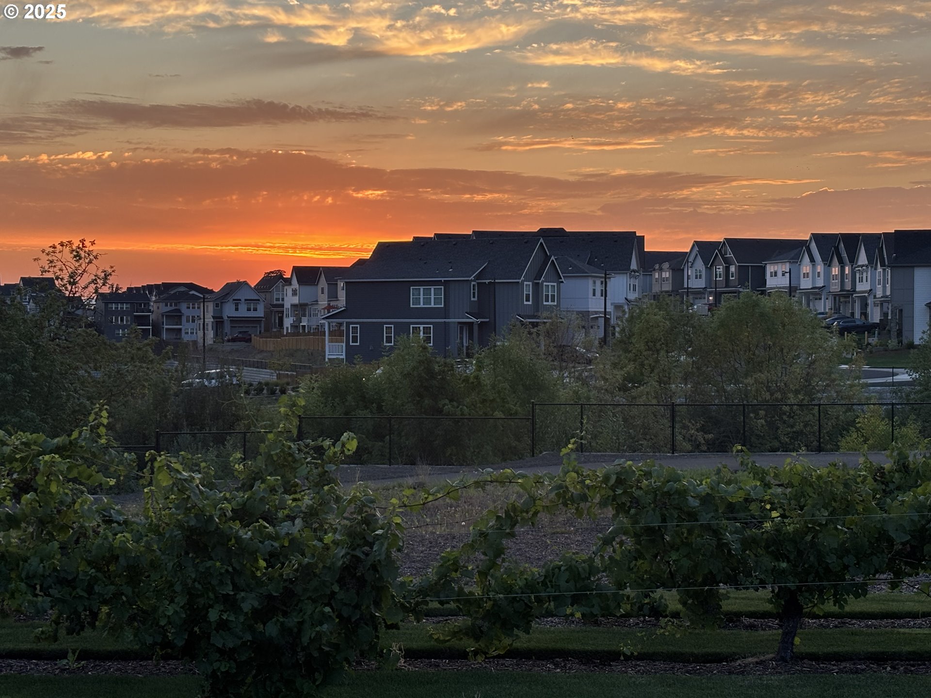 11751 Southwest Hayrick Terrace Beaverton, OR 97007 - Photo 9 of 32