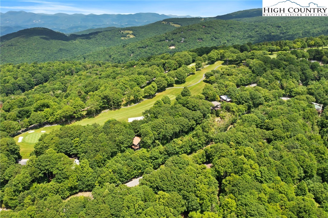 311 Pine Ridge Road Beech Mountain, NC 28604 - Photo 35 of 37 a view of a lush green hillside and houses