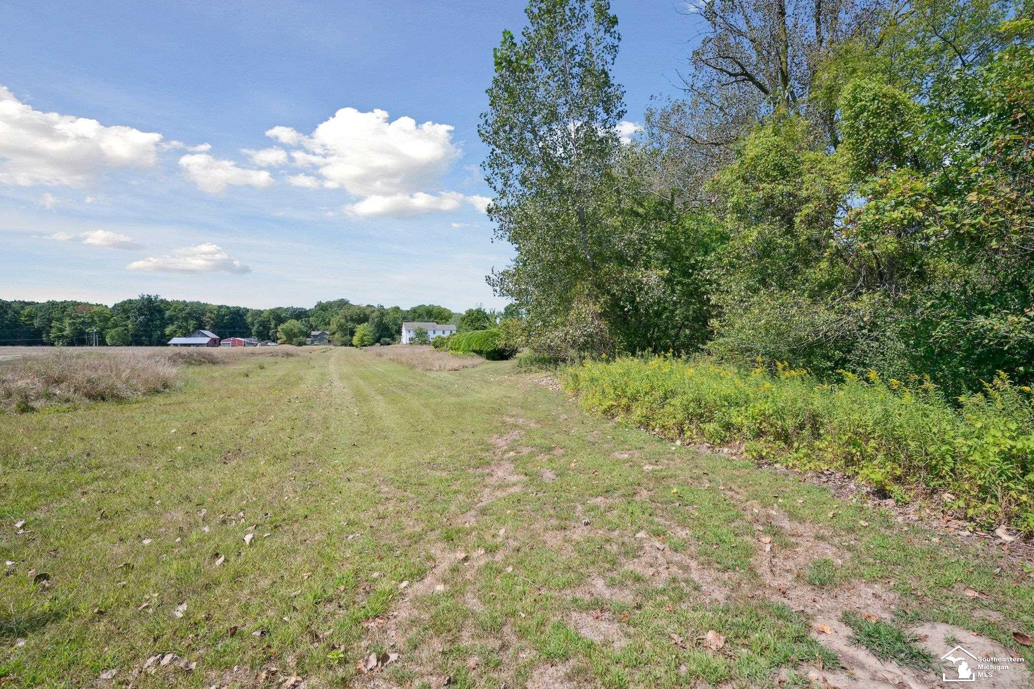 7307 Kruse Road Petersburg, MI 49270 - Photo 46 of 49 Up to 100 Yds!